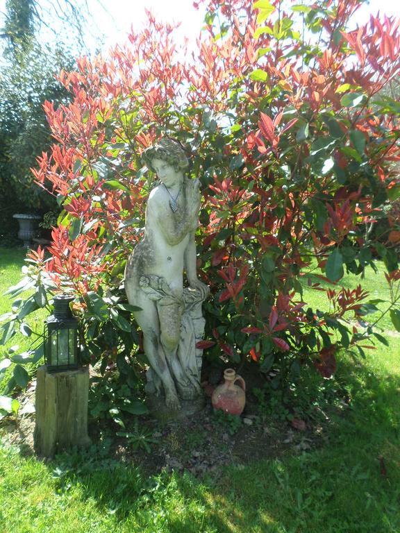 La Chevallerie B&B Isigny-le-Buat Kültér fotó