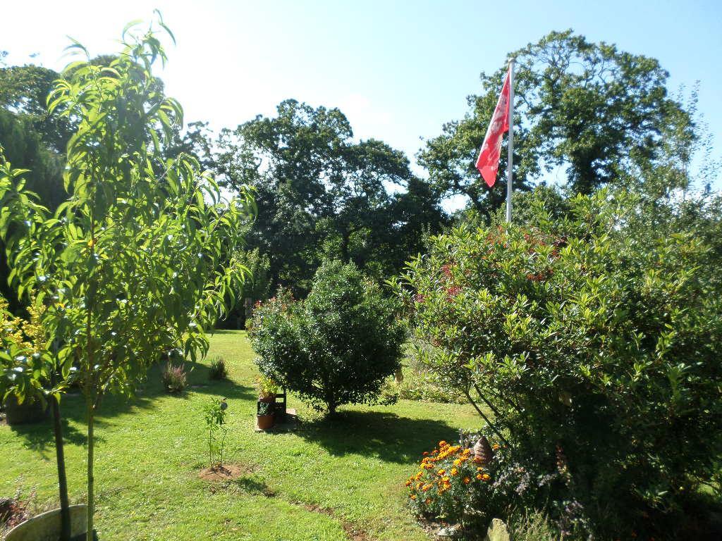 La Chevallerie B&B Isigny-le-Buat Kültér fotó