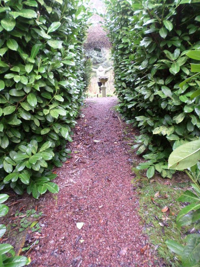 La Chevallerie B&B Isigny-le-Buat Kültér fotó