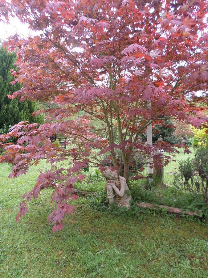 La Chevallerie B&B Isigny-le-Buat Kültér fotó