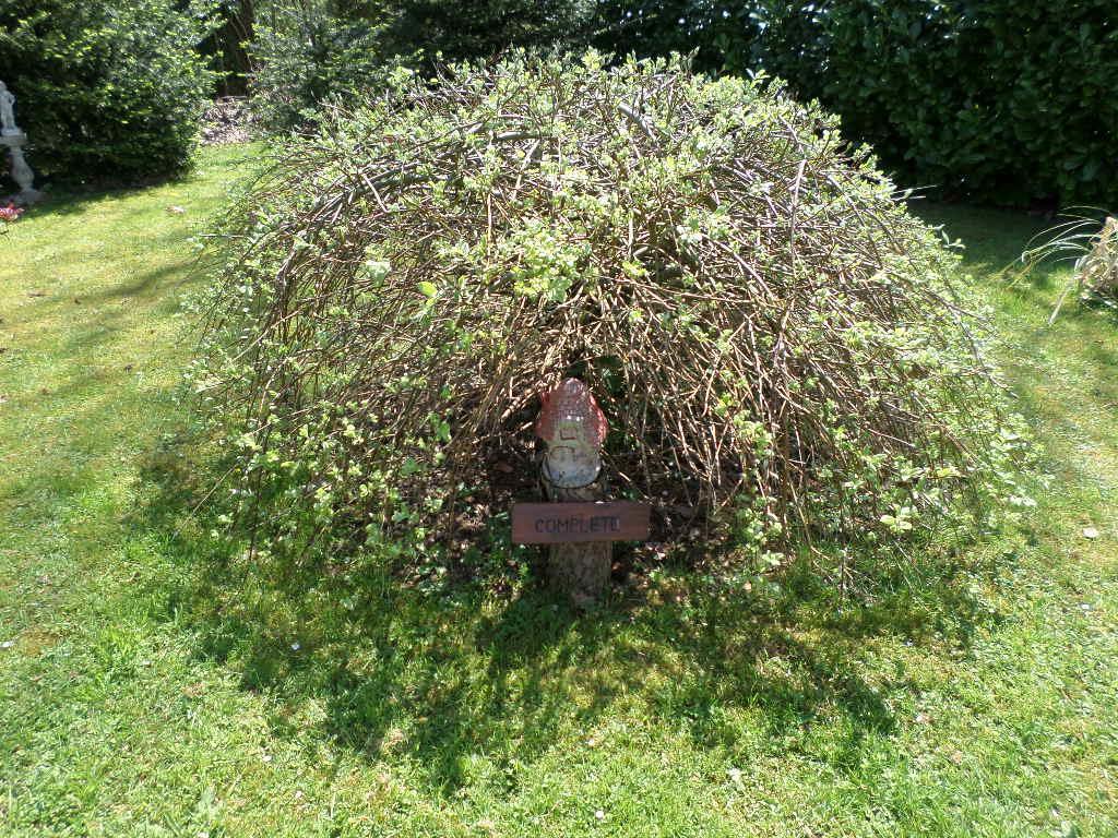 La Chevallerie B&B Isigny-le-Buat Kültér fotó